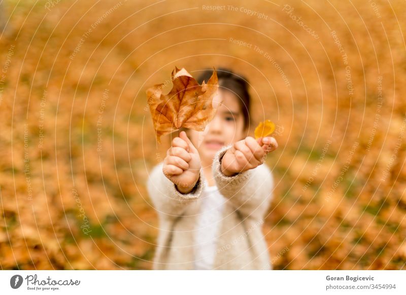 Little girl in the autumn park brunette caucasian child cute fall forest happy kid leaf leisure little natural nature outdoor person portrait posing season