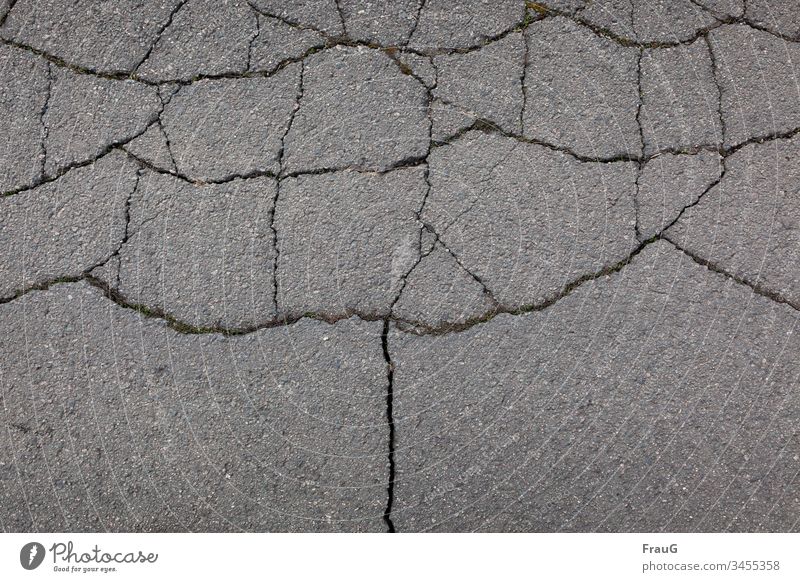 ripped Street street from above Traffic infrastructure Asphalt cracks Broken Pattern Structures and shapes Moss Gray