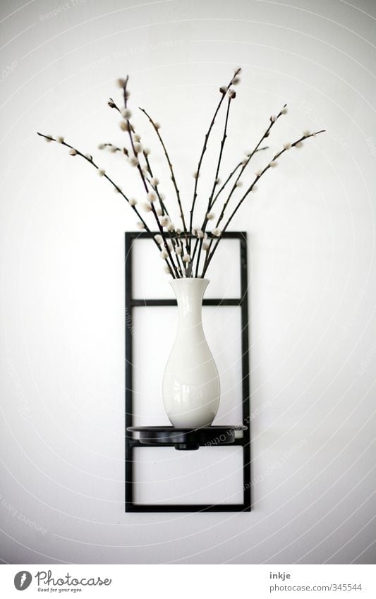 graphic | the organic must be in front of square Living or residing Decoration Plant Catkin Bouquet Vase Wall decoration Bracket Line Blossoming Thin