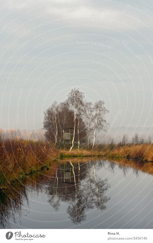 hide in the early morning fog Hunting Blind Bog Landscape Fog Water Lake Tree birches Winter Autumn Colour photo Environment Reflection Sky Calm Pond Lakeside