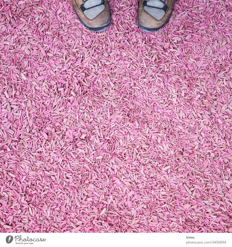 pink below Footwear feet Wood shavings Bird's-eye view Pink Floor covering Art spaene Surprise unusual