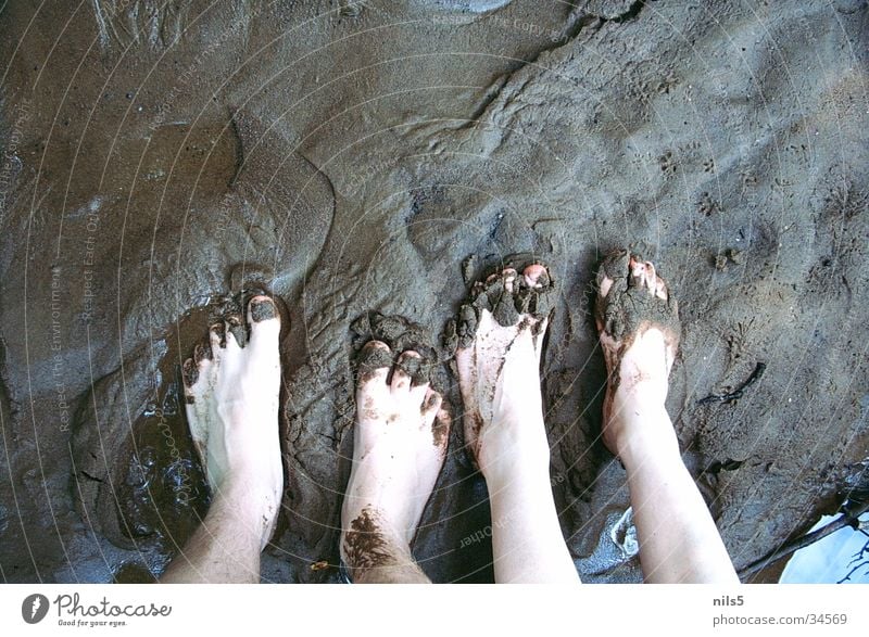 Show me your feet! Dirty Mud Toes Human being Feet Mud flats North Sea Sand Tracks Barefoot