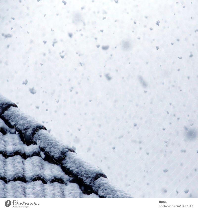 Winter in spring, one morning long | climate change Sky Inspiration Snow Roof roof tiles Roofing tile snowflakes snow-covered