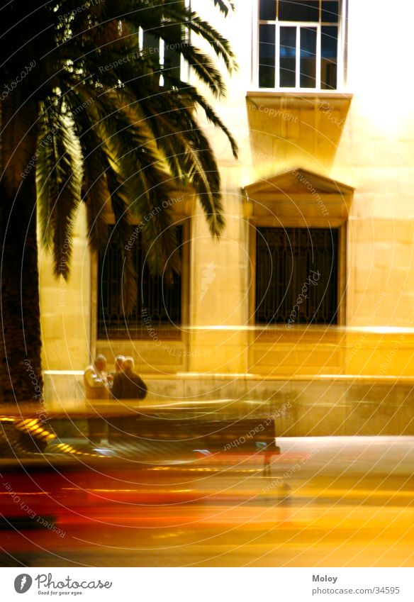 Streets of Malaga Dusk Man House (Residential Structure) Spain Andalucia Palm tree Window Long exposure To talk Car Blur
