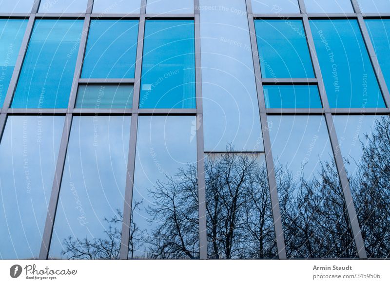 blue glass facade with reflecting trees Abstract Architecture background Blue Building Business City Construction Company Design Detail Flat (apartment)