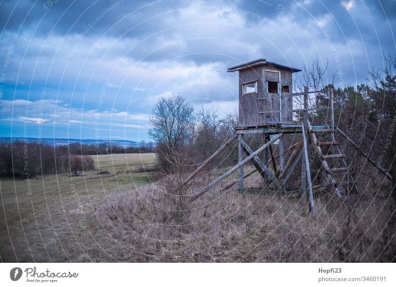 High seat at the edge of the forest with view into the distance. Hunting Blind Landscape Nature Field Colour photo Clouds Far-off places Blue Day Calm Deserted