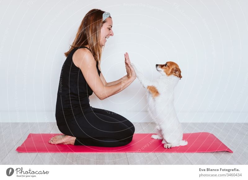 https://www.photocase.com/photos/3460434-cute-small-jack-russell-dog-lying-on-a-yoga-mat-at-home-with-her-owner-woman-healthy-lifestyle-indoors-photocase-stock-photo-large.jpeg