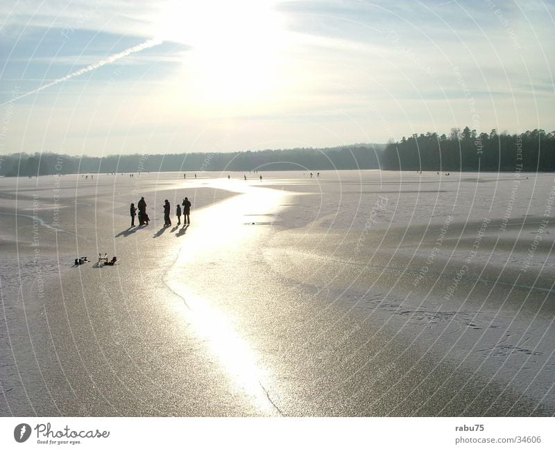 Moritzburg Middle Pond Moritzburg castle Ice-skating middle pond Winter