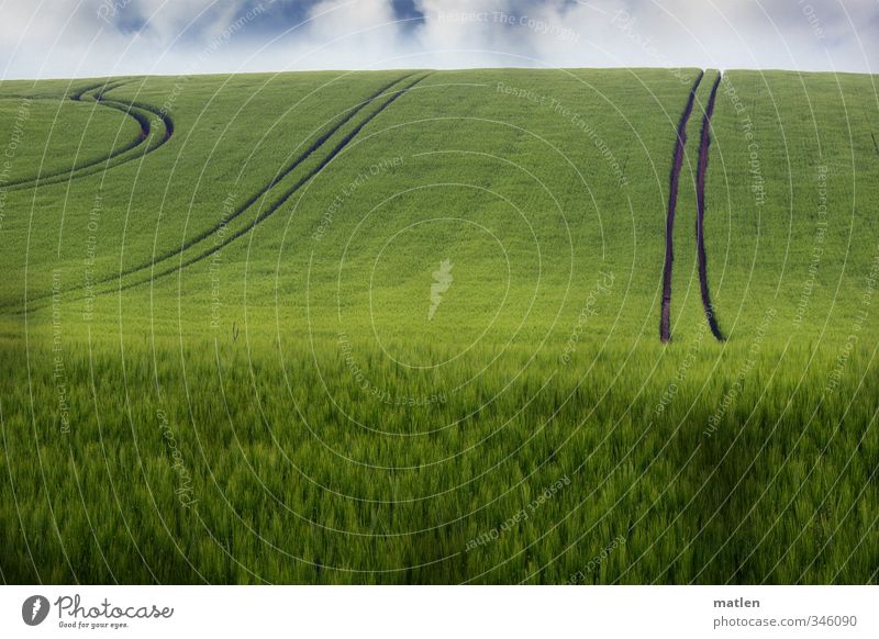 driving style Landscape Plant Sky Clouds Horizon Spring Climate Weather Beautiful weather Agricultural crop Field Green Traffic lane Grain field Colour photo