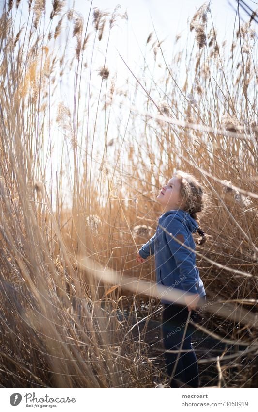 Child playing in the reeds by the lake plays Lake Exterior shot Nature Colour photo Landscape Water spring Lakeside Deserted covid19 school closures Free