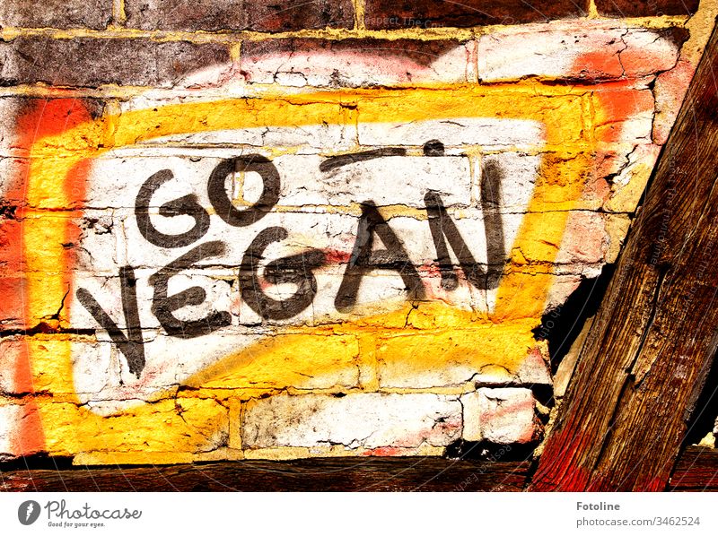 Graffiti "GO VEGAN" on a wall of a half-timbered house Go Vegan Grafitti wall letters Right grey graffiti Colour Wall (building) Wall (barrier) Mural painting