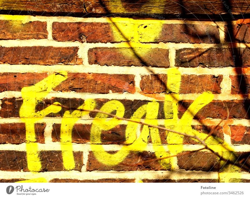 Freak? - or the lettering Freak as graffiti on an old wall Wall (building) Wall (barrier) Graffiti Exterior shot Colour photo Deserted Characters Day Facade