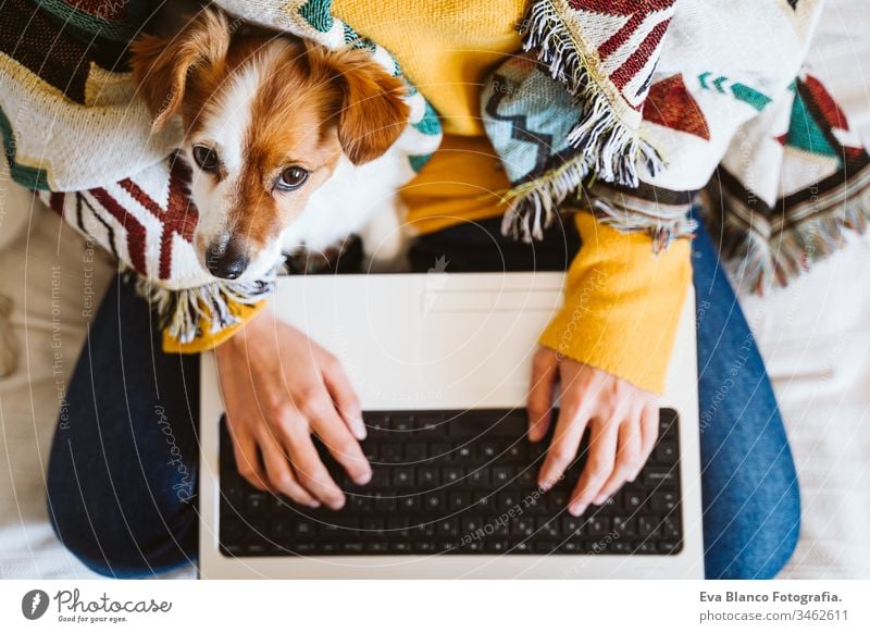 young woman working on laptop and mobile phone, cute small dog besides. Sitting on the couch, wearing protective mask. Stay home concept during coronavirus covid-2019