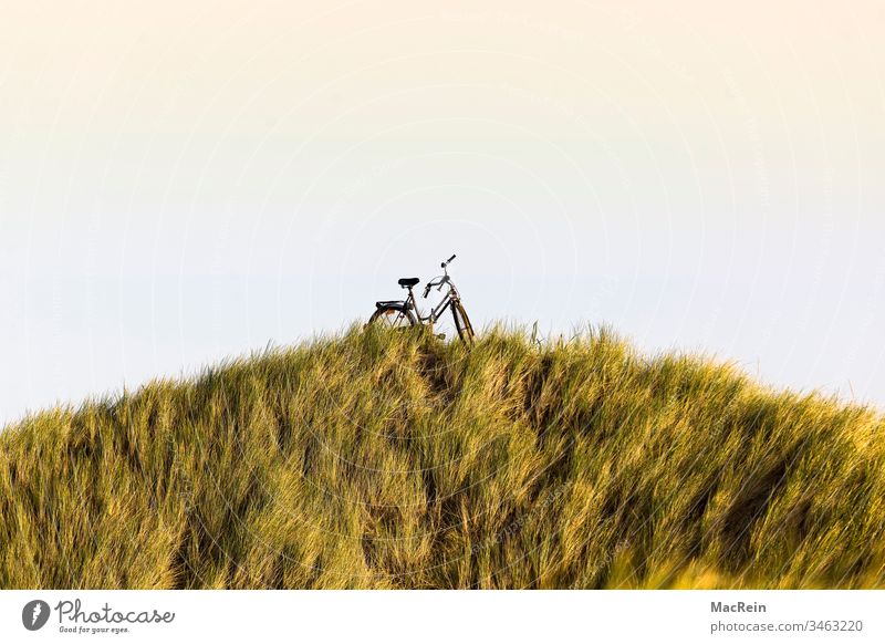 Bicycle in a dune landscape farrrad Seaweed dunes Dike North Sea Sylt Westerland Sunrise Sunset Hill vacation holidays relax Cycling tour nobody Copy Space