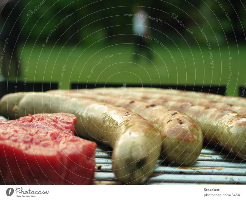 Will you grill me too, please? Barbecue (apparatus) Barbecue (event) Bratwurst Small sausage Steak Nutrition
