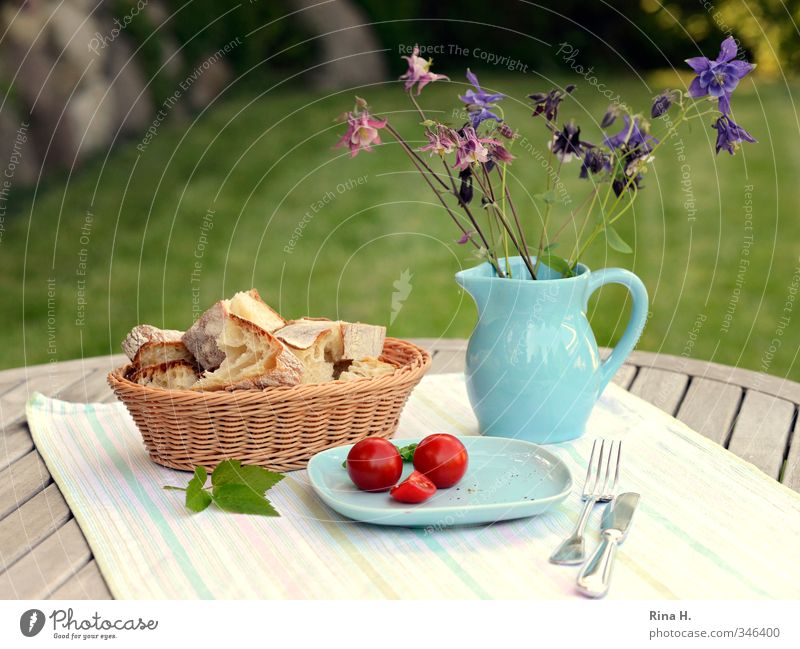 LeanFood Bread Tomato Nutrition Vegetarian diet Plate Cutlery Knives Fork Garden Spring Summer Beautiful weather Flower Aquilegia Vase Bright Delicious Blue