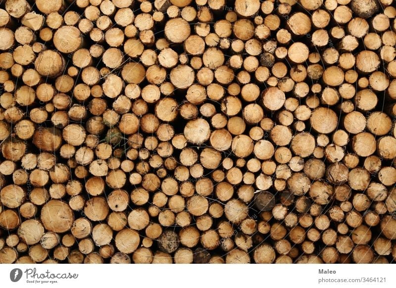 Closeup of logs of trees in nature. a lot of cutted logs abstract background bark brown chippedwood close closeup color creative design energy firewood