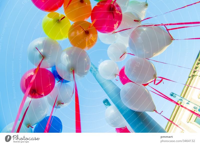 colorful balloons flying in the blue sky children happy red yellow green orange purple party play climbing sperm cell air helium gas holiday festival decoration
