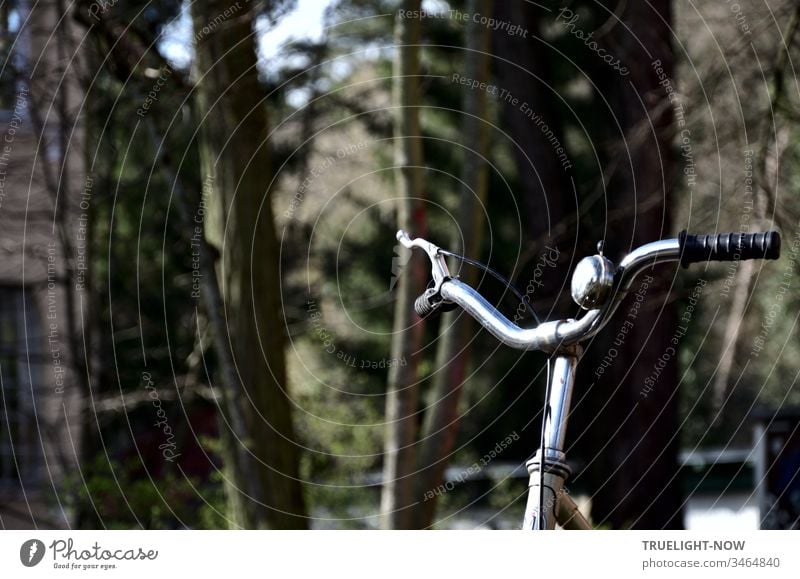 chrome bike handlebars