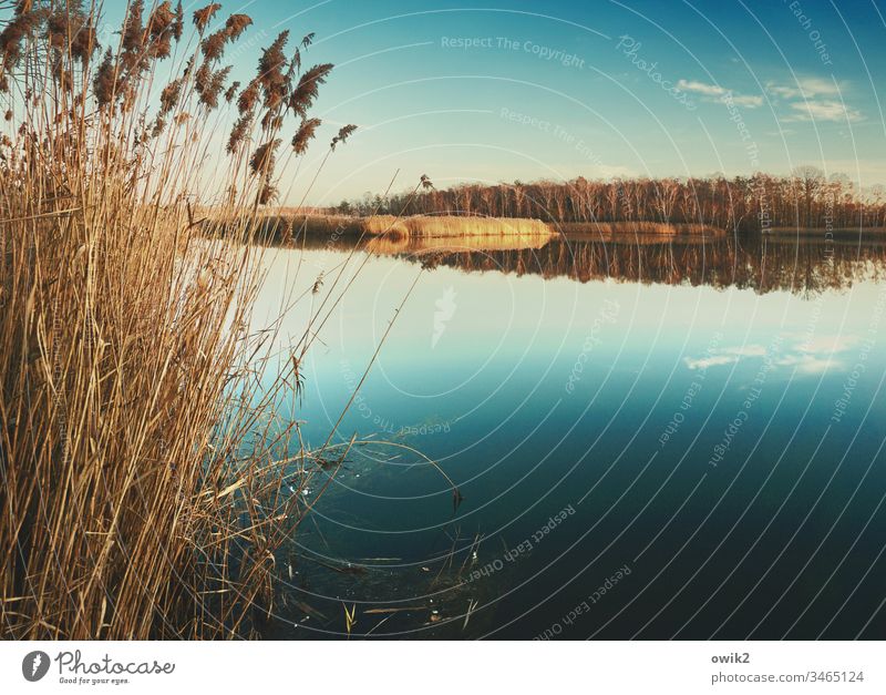 Still Water Lake Surface of water Idyll wide farsightedness Horizon Reflection Calm Nature Landscape Exterior shot Environment Colour photo Deserted
