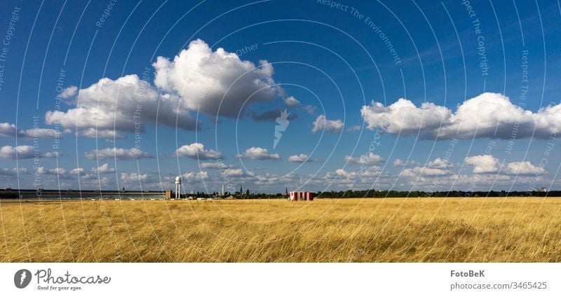 Tempelhofer Feld on a sunny August day Meadow Clouds Clouds in the sky Cloud formation wide vision Blue sky Horizon Tempelhof Airport Berlin