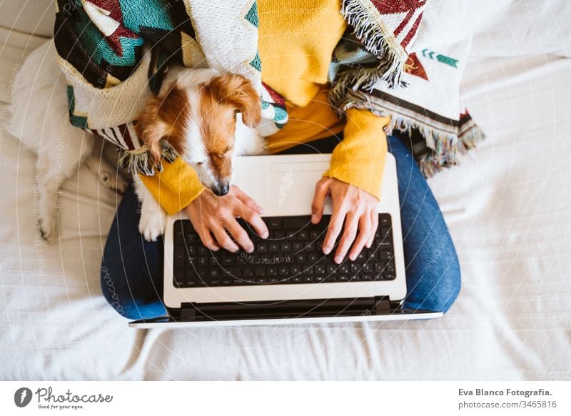 young woman working on laptop and mobile phone, cute small dog besides. Sitting on the couch, wearing protective mask. Stay home concept during coronavirus covid-2019