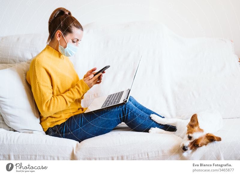 young woman working on laptop and mobile phone, cute small dog besides. Sitting on the couch, wearing protective mask. Stay home concept during coronavirus covid-2019