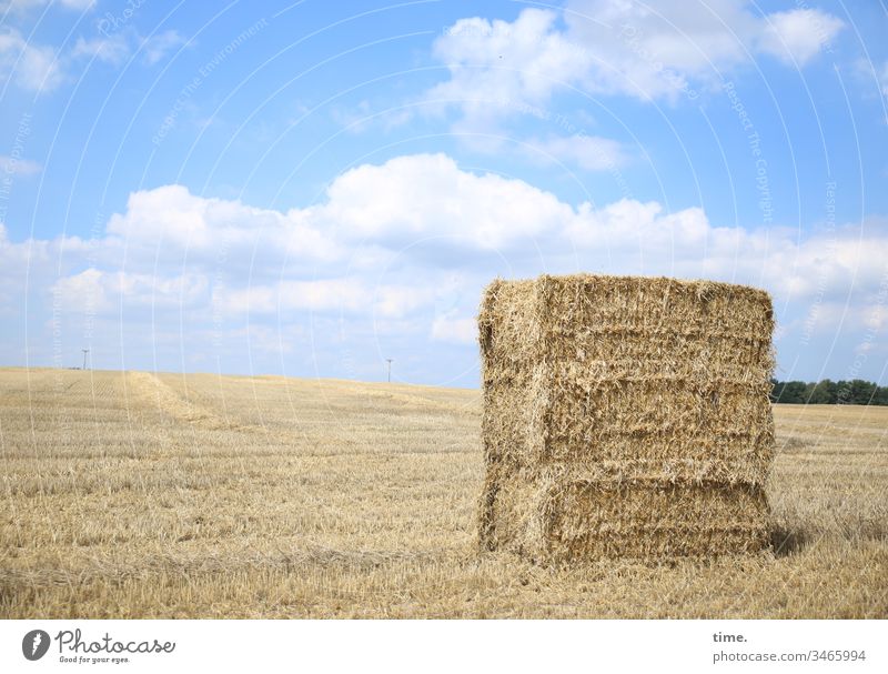 Food package Sky Stand Horizon Sunlight Clouds acre Grain Grain field Bale of straw scythed stacked Stack Hay bale Animal feed Agriculture Piece goods