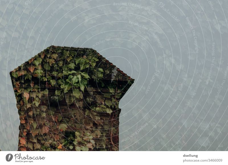 Double exposure of a tower of leaves Tower Watch tower Hedge shrub bush Leaflet Green Monument Nature Historic Manmade structures vegetation conquered