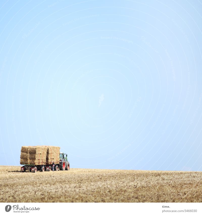 Food parcel service Sky Stand Horizon Sunlight acre Grain Grain field Bale of straw scythed stacked Stack Hay bale Animal feed Agriculture Piece goods Tractor