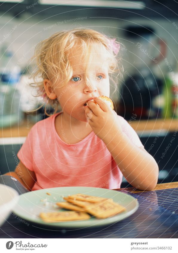 Portrait of a little girl with tousled fair hair having breakfast in the kitchen kid eat child toddler portrait baby meal morning home bun pastry cookie