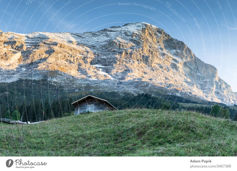 Typical Swiss hut in the Bernese alps with the peak Eiger in the background. travel Pastel tone mountain grass snow snowcap trees summer europe switzerland sky