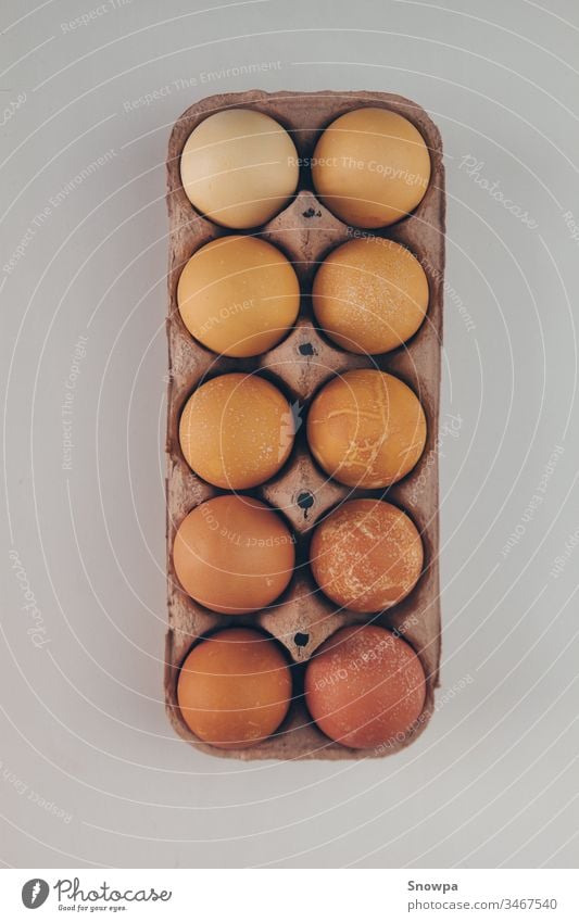 Different shades of brown eggs in a carton egg box. protection cardboard groceries nature organic chicken package food protein animal healthy paper easter