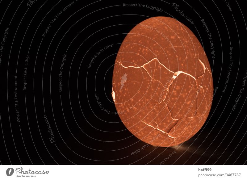 crack in the shell - egg with lighting Egg Hen's egg Eggshell Crack & Rip & Tear crack formation Line Easter egg Attachment Zigzag Experimental Light