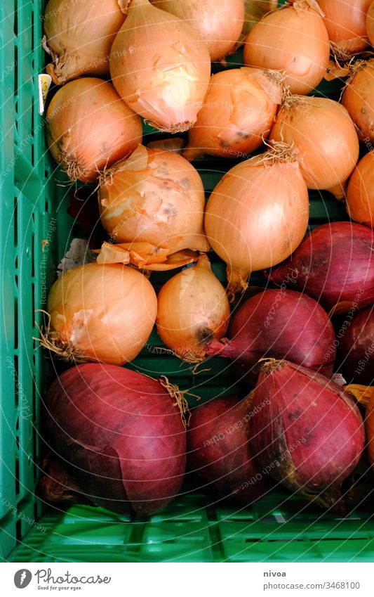 Onions in a basket Organic produce onions Food Vegetable Markets Basket Healthy Fresh Nutrition Vegetarian diet Colour photo Exterior shot Deserted Day Green