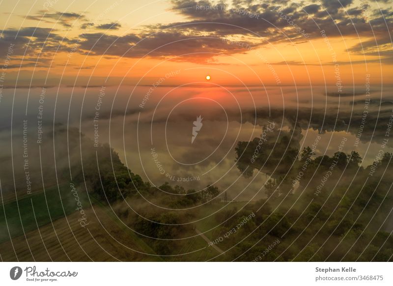 Impressive sunrise over a foggy lake, pure nature moment. background glow tree water orange mist summer sky beautiful landscape view light scenery sunlight