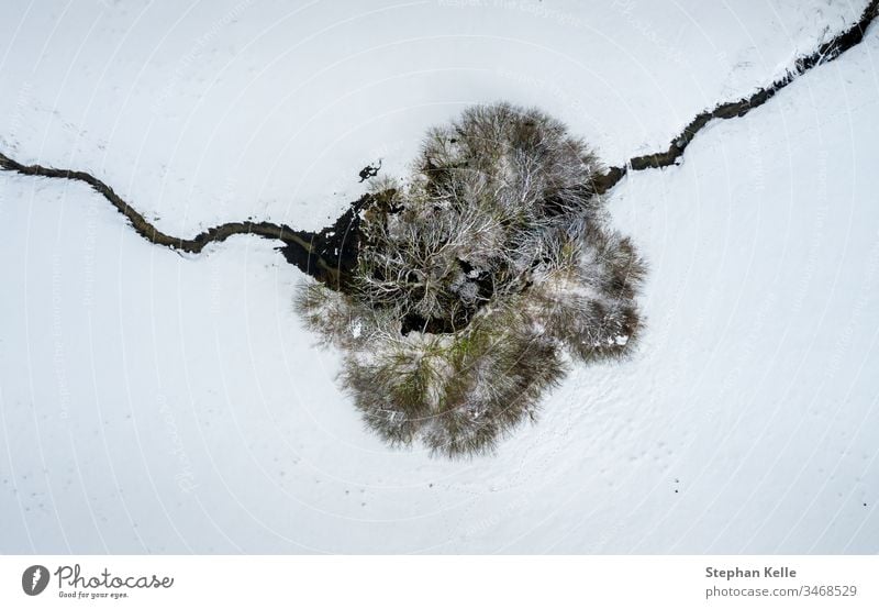 Aerial perspective at a single tree and a crossing little river in a winter snowy top view. one creek alone copy space drone calm no person background abstract