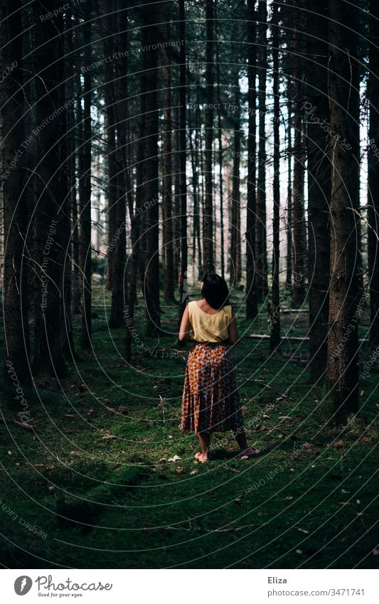 A woman in colourful summer clothes stands between many tree trunks in the forest on moss-covered ground Forest Moss Girl Woman Green Summer clothes tight Dark