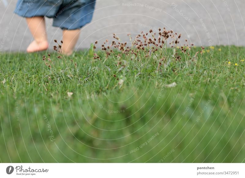 Child goes downhill over a meadow with bare legs. You can only see parts of the lower body Toddler Legs Walking Going foot body part grasses Meadow Grass
