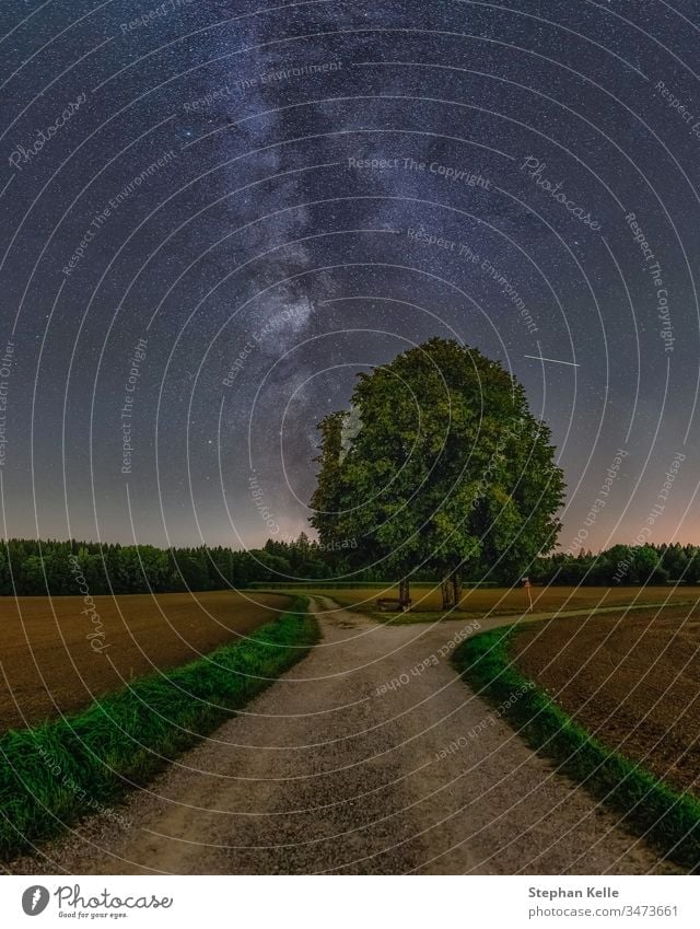 The Milky Way behing a lonely tree at a star clear night in summer. milkyway stars galaxy astronomy road sky galactical centre trees dark nighttime space
