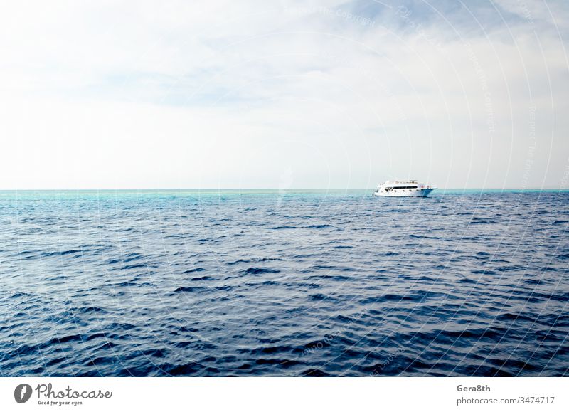 white cruise tourist boat in the Red Sea in Egypt Sharm Sharm el Sheikh azure background bathing beach blue blue water boat trip clouds coast coral reef day