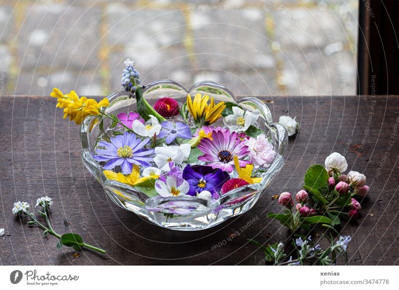 It smells like... springtime potpourri of flowers in a bowl of water is at the window water bowl Blossom Window Wooden table anemone Glass bowl Spring