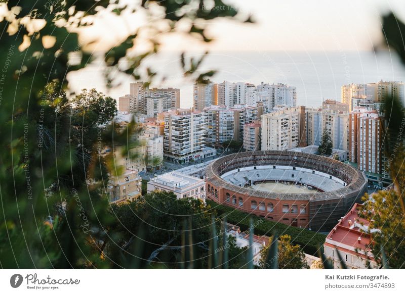 The historic bullfighting arena of Malaga at sunrise Bullring Sunrise Mediterranean sea Tourism Tourist touristic City trip Vacation & Travel holidays