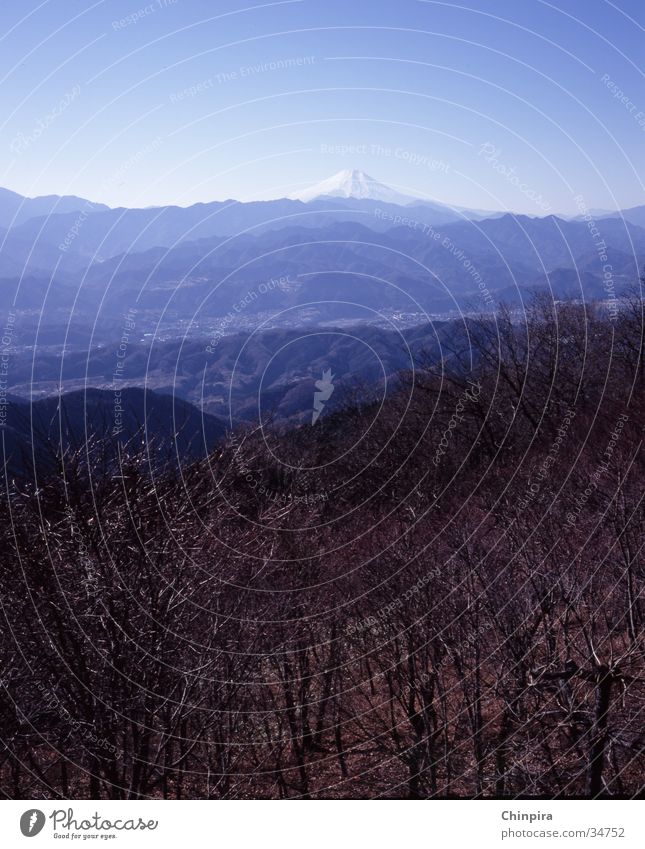 Fuji Japan Tokyo Fujiyama Snowscape Forest Mountain Sky