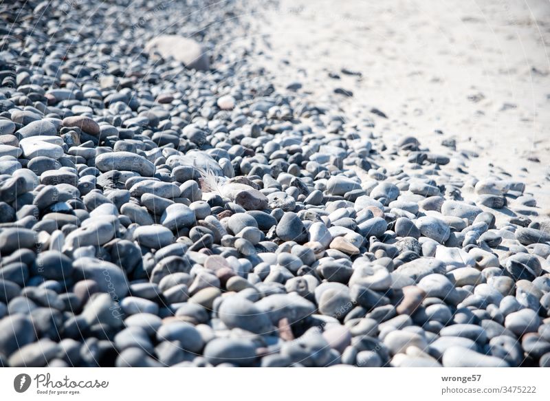 A wall of flint stones on a beach section of the island of Rügen island rebuke Beach Beach section flints stone wall Baltic Sea Ocean Island Vacation & Travel