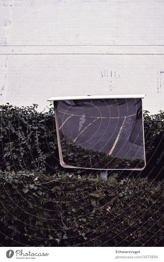 Mirror, mirror on the roadside... Hedge Exterior shot Deserted Bushes Parking lot Gloomy