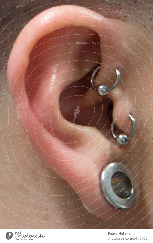 Holey: triple piercing on the ear Ear Fashion style Jewellery Earring Piercing painful body jewellery Rings pierce stylish matter of taste body part Face