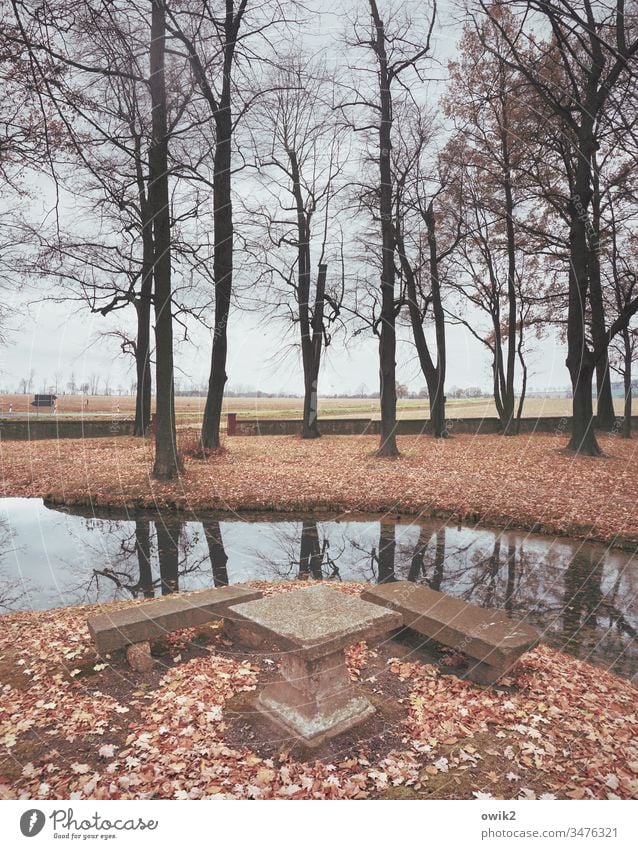 roadhouse Park trees foliage Autumn leaves Fallen Channel Water Reflection Horizon Stone Bench Table tranquillity Idyll smoochyitz Bishop Benno House