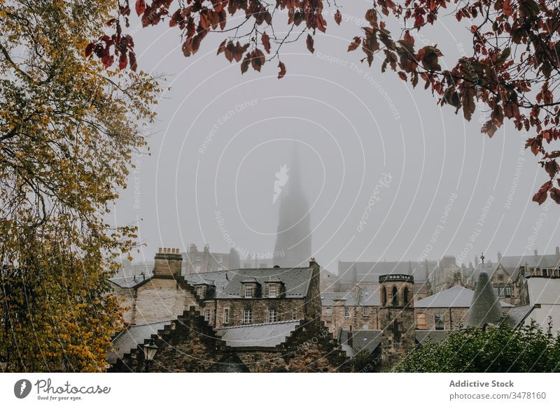 Old town with church in foggy day architecture ancient building historic autumn city scotland inverness old tree branch frame mist gloomy travel tourism