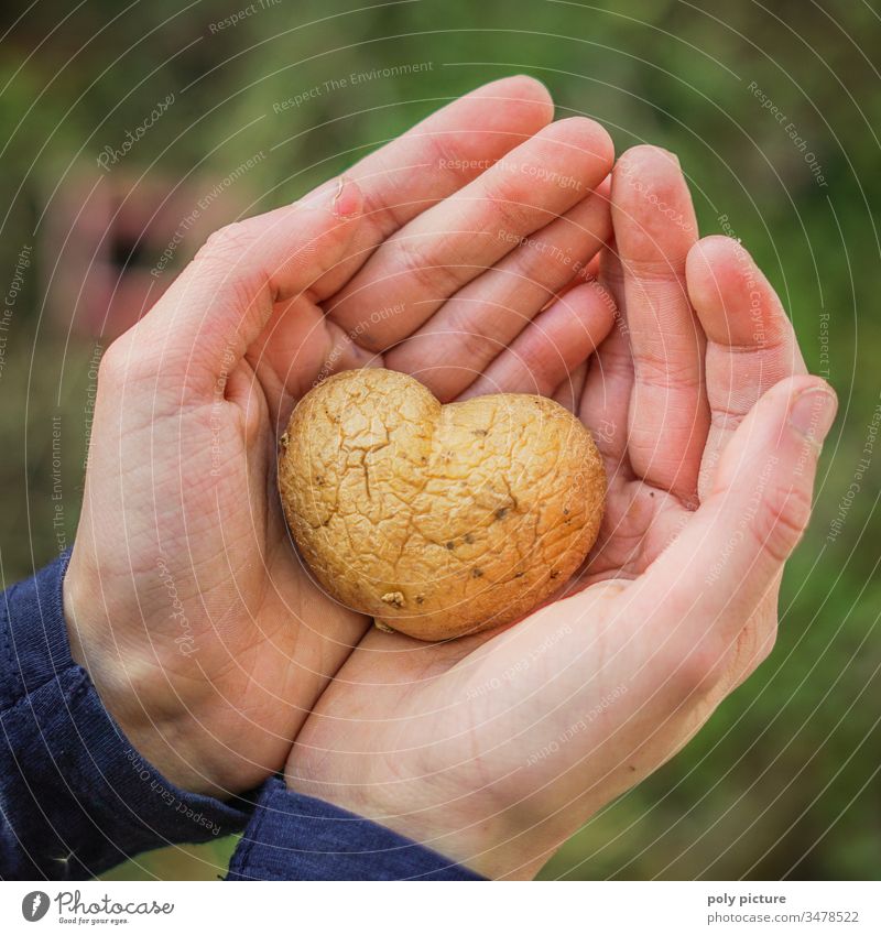 Child's hand holding potato in the shape of a heart Leisure and hobbies Shallow depth of field Infancy Life by hand Blur Environment Nature Climate change